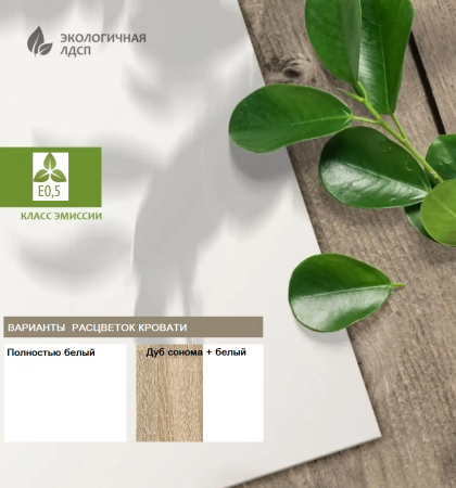 Кровать двухъярусная Фортуна-2 (дуб сонома+белый) 180*80 со съемным бортиком  от Династия Kids